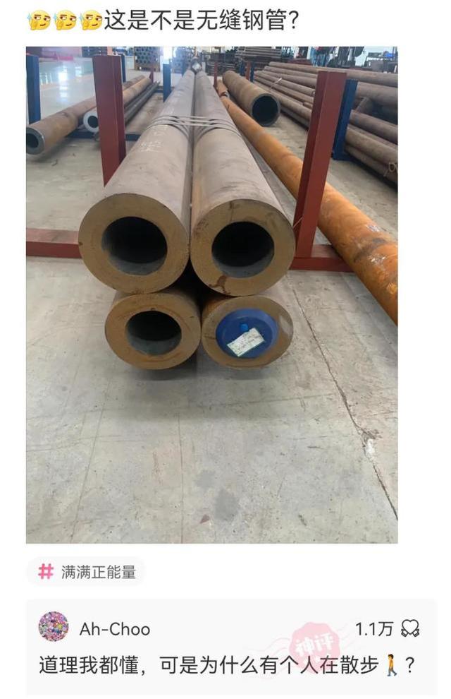 鲸落鲨掉网名，鲸落鲨掉微信昵称（鲸鱼死了有个好听的名字叫鲸落）