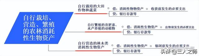 消耗性生物资产，消耗性生物资产是什么（生物资产案例分析及关键考点）