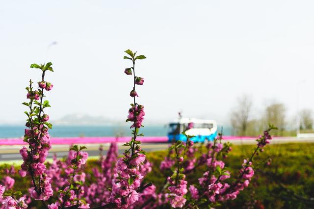 不懂爱情的语录，不懂爱情的说说,短句（写给某人：你不懂我的悲伤）