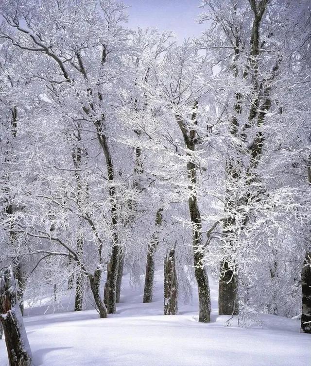成都周边雪景一日游景区推荐，成都周边7个最佳赏雪胜地