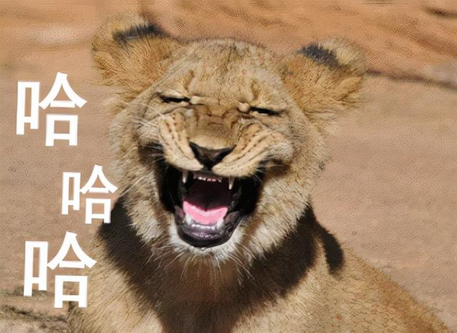 长的丑玩的花的上一句是什么，长得丑玩的花（这些让人爆笑的歇后语你知道多少）