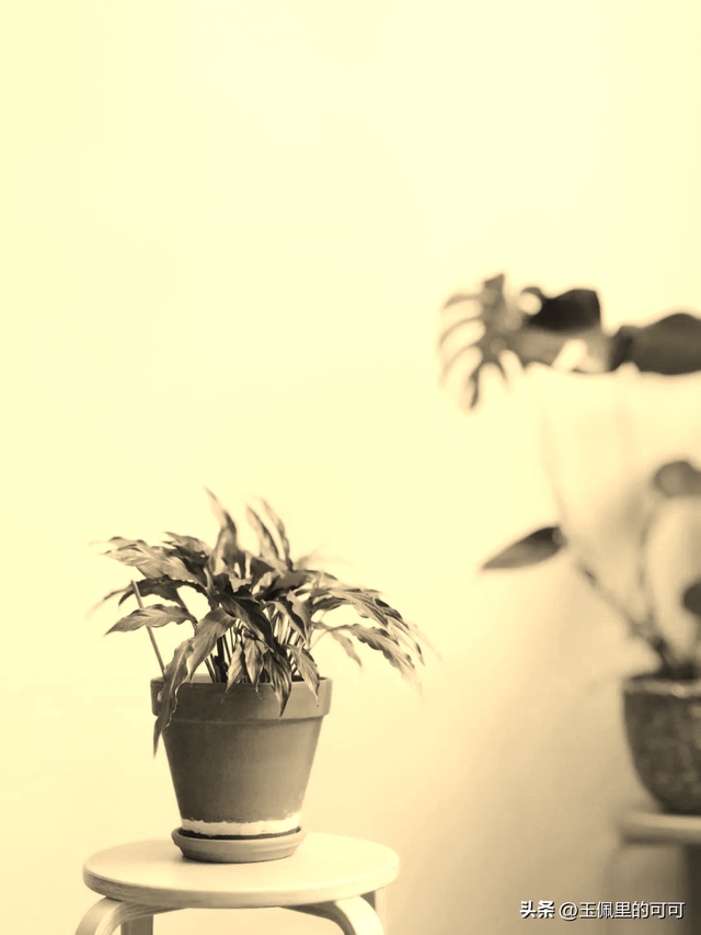 丧.满眼失望.，满眼心酸的丧句（若不是失望到极致图片）