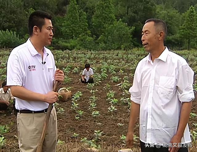 cctv主持人，最美cctv主持人（央视再也见不到的4位主持人）