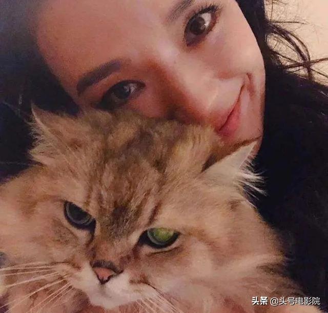 天天有喜3之天地欢喜，天天有喜3之天地欢喜什么时候播出（曾暂时息影想调身体生小孩）