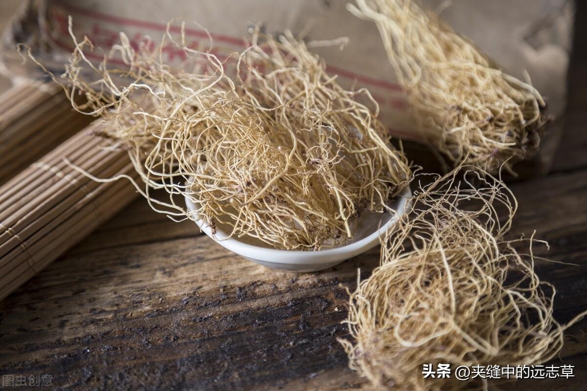 青皮草的功效与作用图(讲一味祖师麻) - 行就行