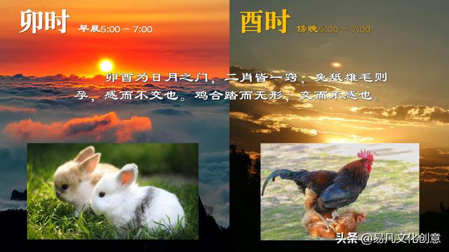 十二生肖什么肖是喜肖，十二生肖什么肖是喜肖（明确阐述了十二生肖动物的搭配原理）