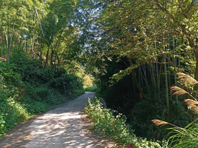 马蹄的脚印长什么样，遂川地名传说——“马迹”的由来