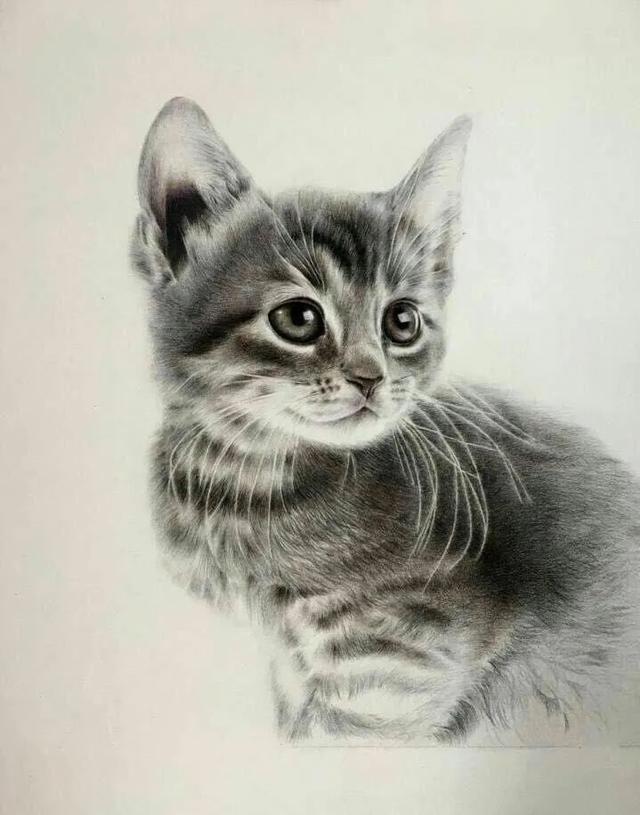 怎样教小学生学国画呢，儿童如何学国画（小学的孩子绘画从何学起）