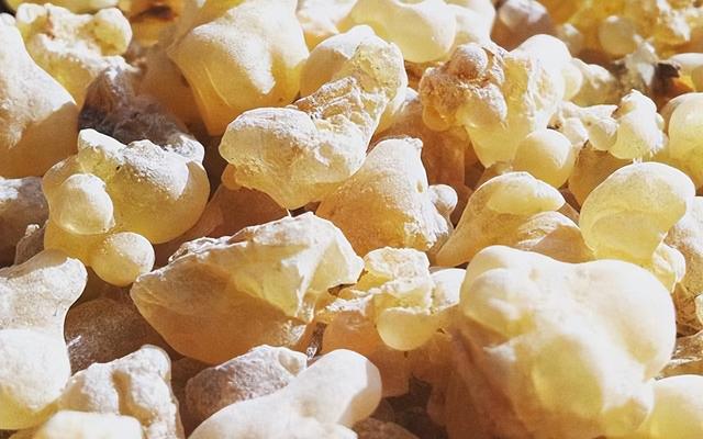 荷荷巴油的功效与作用，荷荷巴油的功效与作用是什么（8种单方精油教你如何应对各种发质的养护问题）