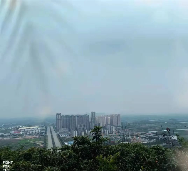 千佛山森林公园，千佛山在哪（不收门票的5个成都周边“小森林”）