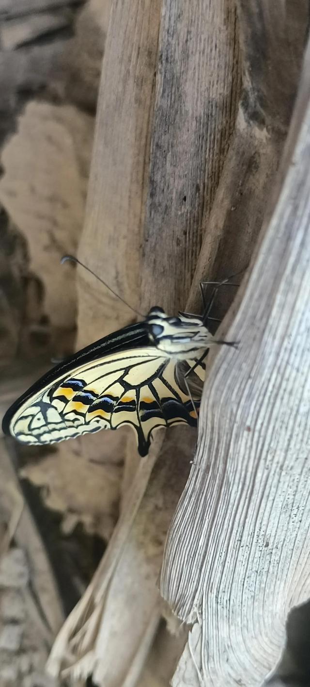 佛法修心口诀，禅宗心法口诀（修心不知如何修）