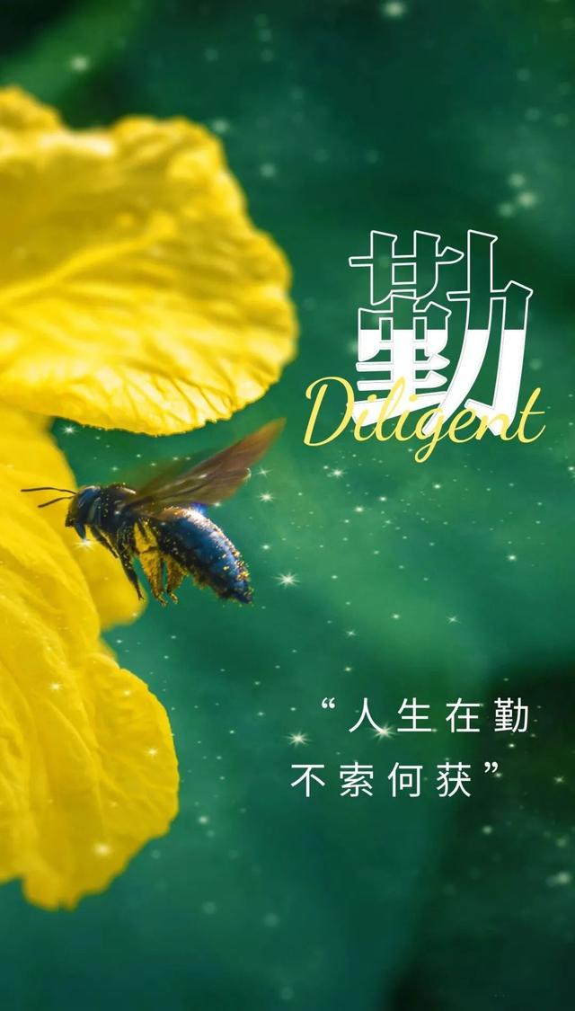 工作励志正能量文案，正能量满满的励志句子有哪些（早安心语，正能量努力工作文案）