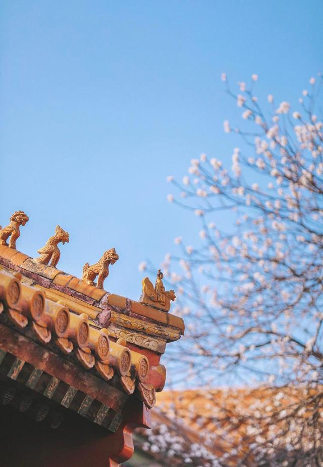 男人霸气的句子，关于男生的霸气句子（关于人生的高质量句子）