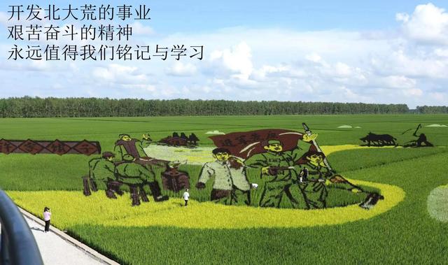 卫星互联网是什么技术，有什么优势（卫星及互联网技术）