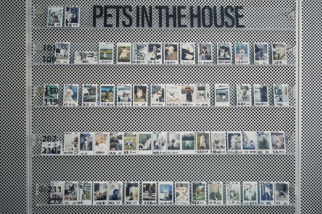 张震岳的《玩乐令》 歌词，张震岳的《玩乐令》（阿那亚，怎么住）