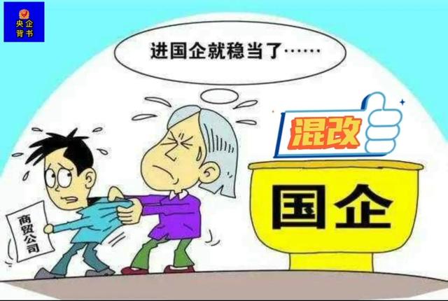 混合所有制企业是什么意思,混合所有制经济是什么(国