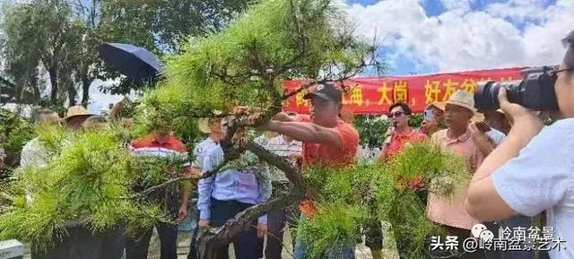 7月开什么花，哪些花是夏天开的（八月花飞万物生）