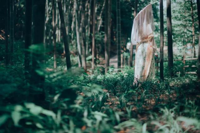 关于温暖的名言，关于理解社会温暖的名言（十首温暖诗词：总有一个人）