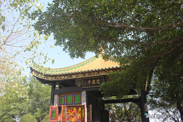 广州市免费公园，广东十大免费旅游景点（广州一个免费的公园）