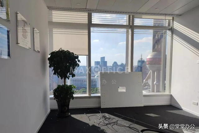 上海金茂大厦图片，上海金茂大厦传统文化（盘点上海租金前十的写字楼）