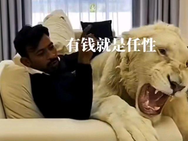 现在的油价是多少，95汽油价格（国际油价跌至8个月来新低）