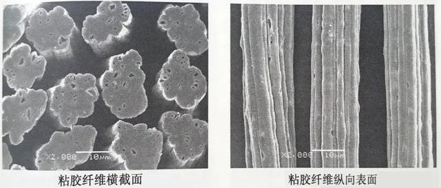 粘胶纤维是人造棉吗，粘胶纤维是什么材质（人造棉到底是什么“棉”）