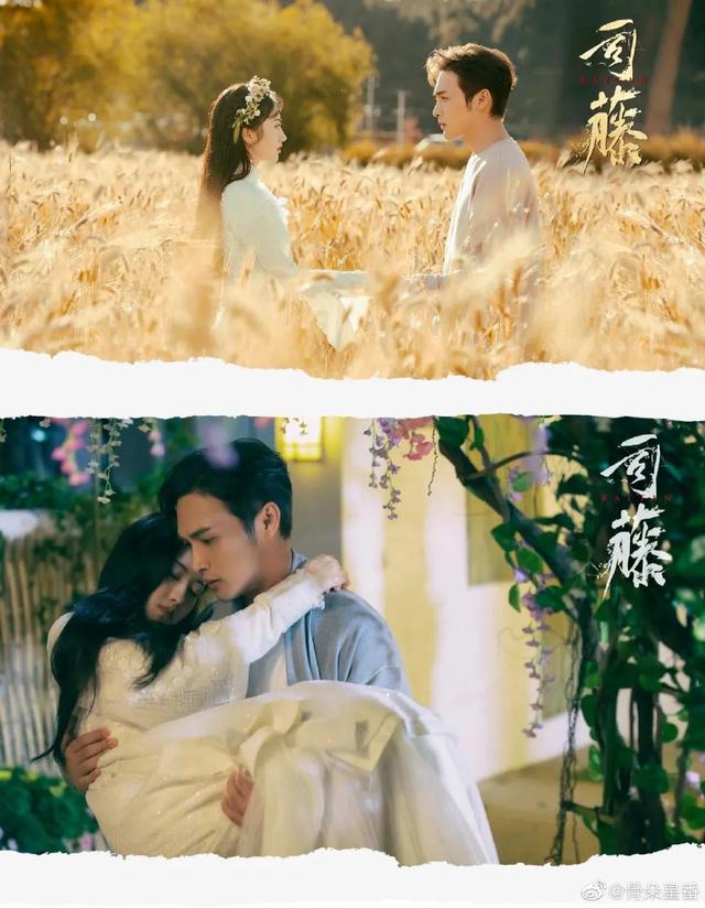 影视剧中那些经典的cp，影视剧中的十八大经典CP