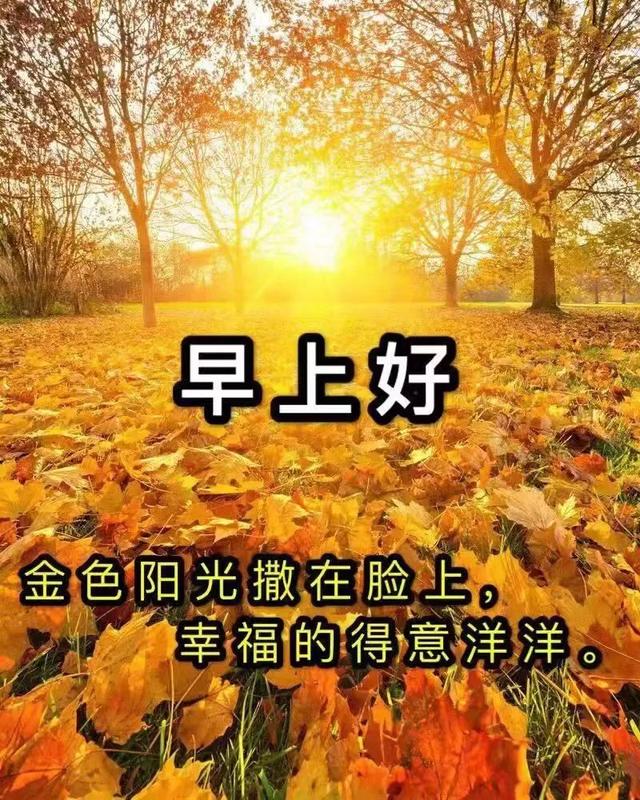 今日白露的问候，白露节气早安问候祝福语短信