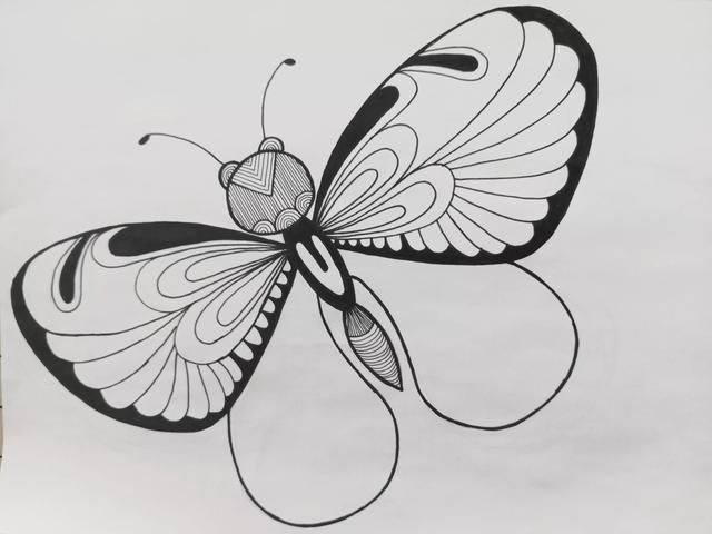 蝴蝶怎么画简单好看，如何画一个简单蝴蝶（《蝴蝶》线描画绘画过程）