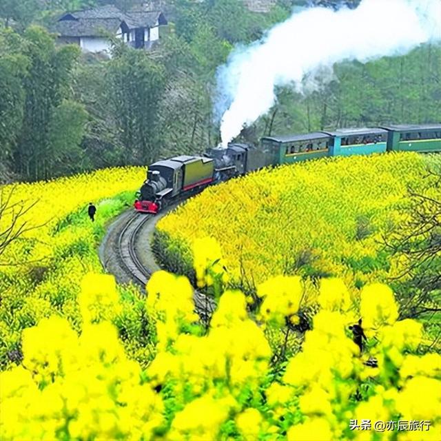 乐山大佛旅游攻略，乐山大佛景区攻略详细（乐山大佛峨眉山一日游攻略）