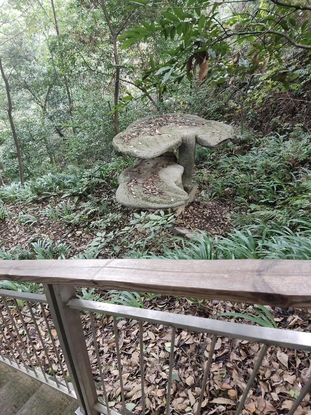 歌乐山森林公园，重庆旅游必去景点（歌乐山国家森林公园）