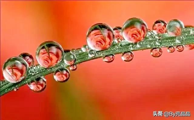 词语搭配什么的小水珠，什么的小水珠填上恰当的词语（晶莹剔透的小水珠）