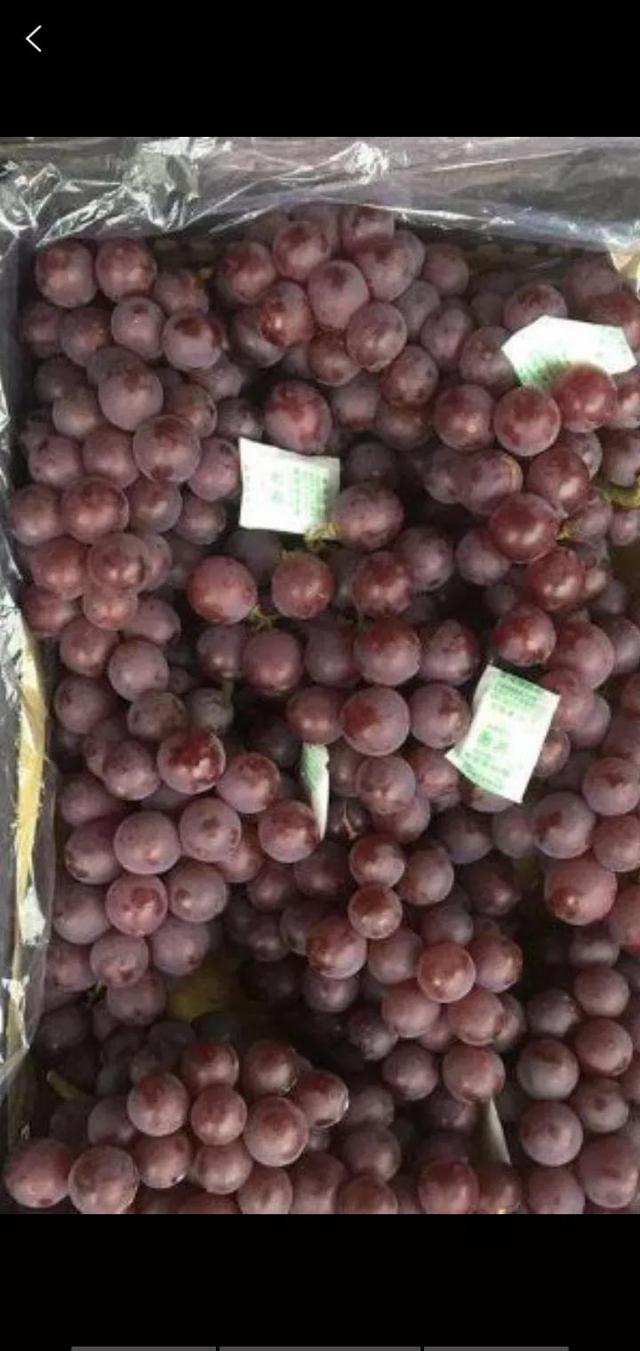 冰冻葡萄的危害，冬天储藏的葡萄哪些人群不宜食用