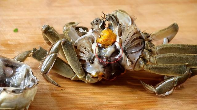 普通烤螃蟹的做法，螃蟹的做法 最正宗的做法（还有这6种不可错过的做法）