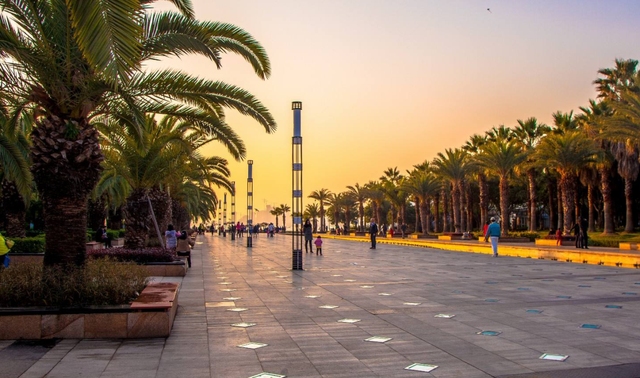 去厦门必去的几个地方，厦门必去的几个景点（这8个好玩又好拍的免费游玩圣地）