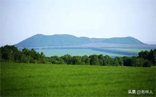 土地调查条例（森林资源管理一张图只可作为参考）