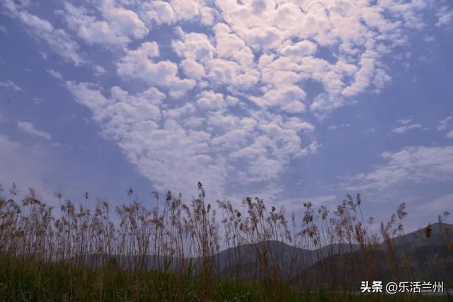 12月21日是什么日子，农历十二月二十一日是什么日子（金城最早的发源地西固）