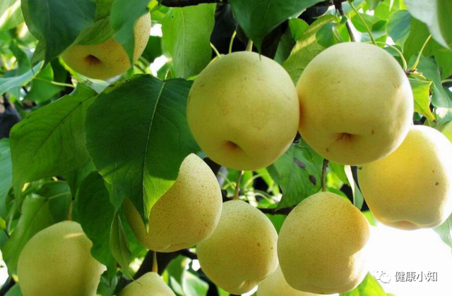 梨膏的制作方法，制作秋梨膏步骤（秋梨膏）