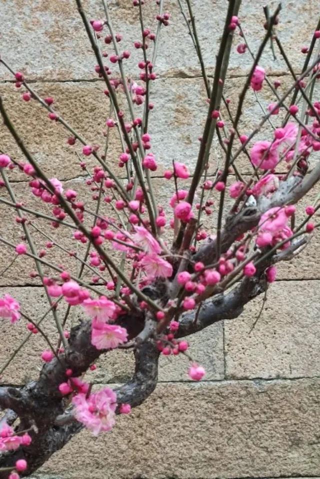 普陀山旅游攻略最新，普陀山旅游攻略2021（期待与你在普陀山朱家尖的邂逅~）