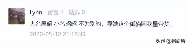 新浪微博名字大全，好听的新浪微博名字大全（让所有人都笑死在这些沙雕名字里）