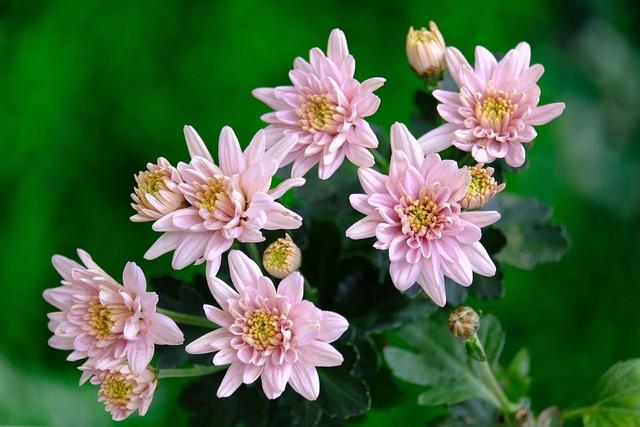 关于分手挽留的话，分手挽留的短句（应该怎样给他发短信才有效果）