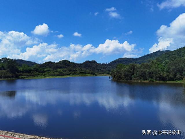 黄山鲁森林公园