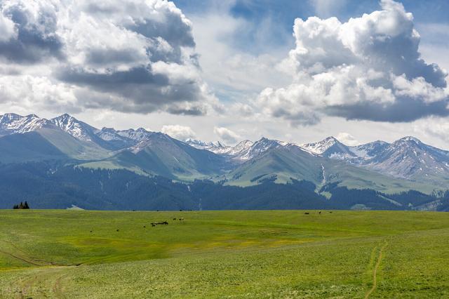 含束的成语，束成语有哪些成语大全（10个冷门却惊艳的小众成语）