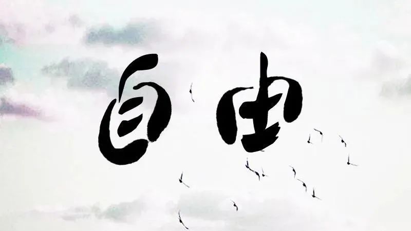 关于自由快乐的名言，人生格言快乐与自由（你敢于享受自由的乐趣吗）