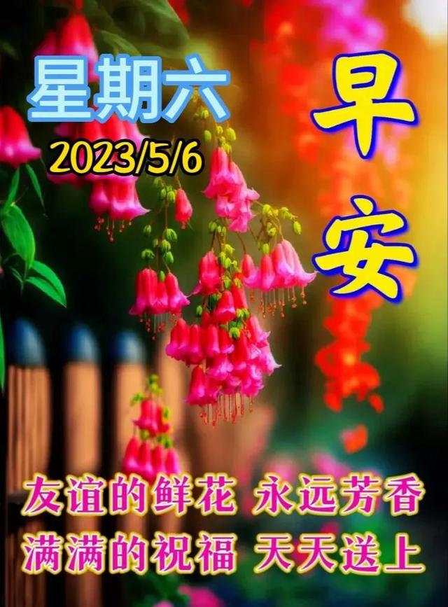 早安问候语每日更新，早上好短句早安问候语每日更新（亲切的暖心问候语）