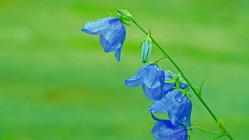 保护眼睛的桌面壁纸，经常对着电脑眼睛疼怎么办（保护眼睛从我做起…）