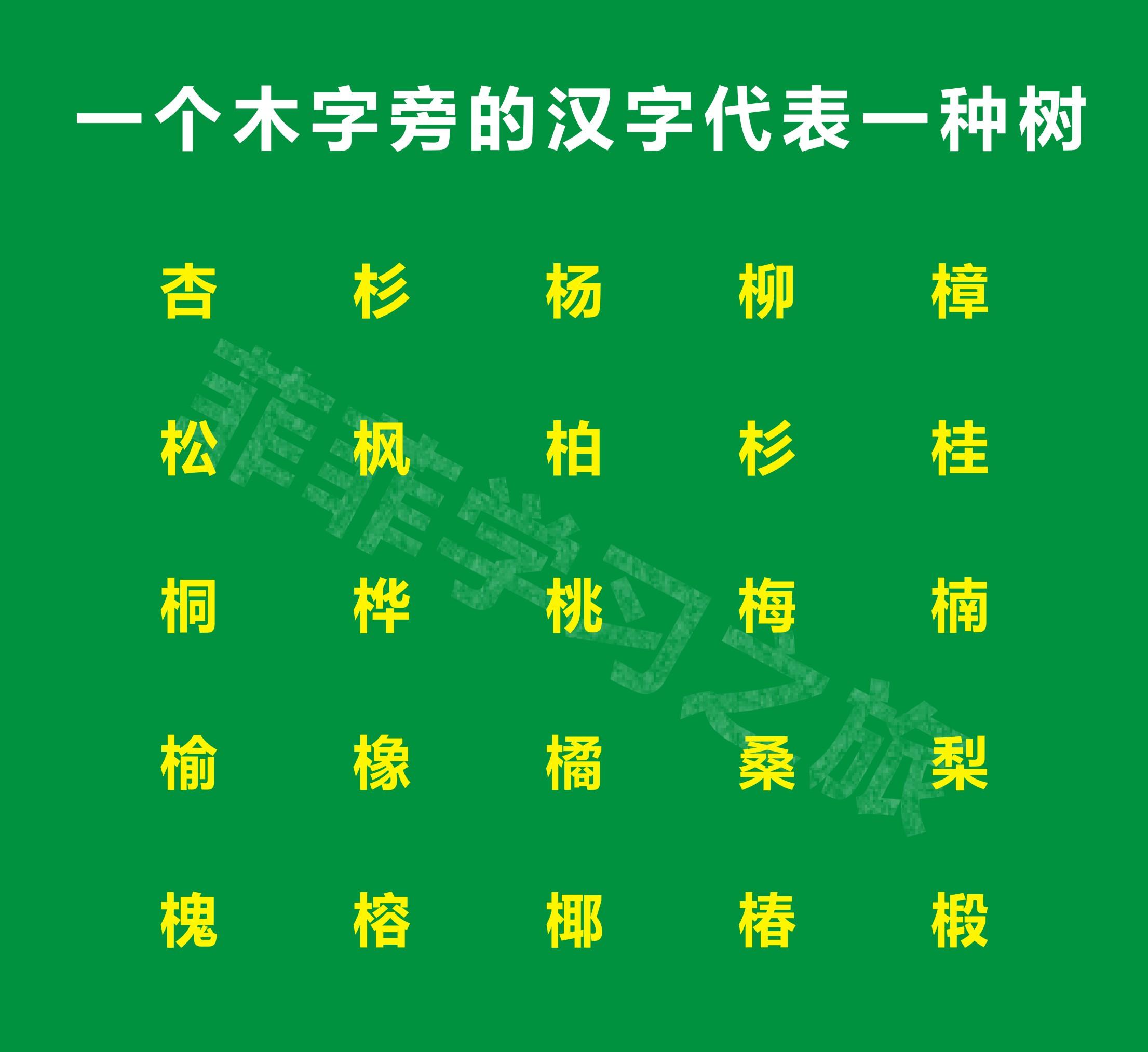 水杯拼音,一年级偏旁部首木字旁