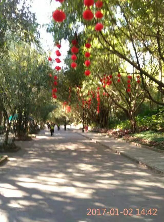 深圳笔架山公园，笔架山公园的草地离哪个口近（游深圳笔架山公园<游记6>）