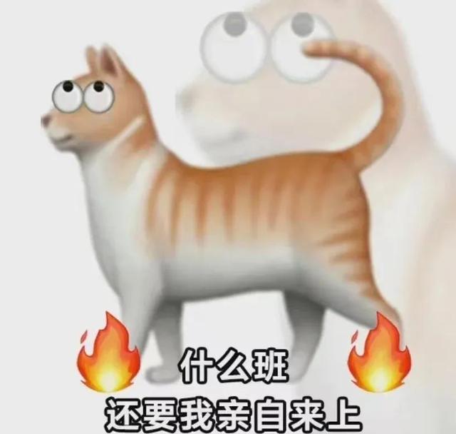 穷穷穷表情包，微信头像，穷穷穷表情包（敷衍的配文）/林芙/（不仅有点傻傻的还很可爱无水印版）