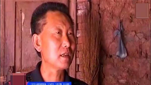 什么蛇是苦命蛇，什么龙是苦命龙（叫声恐怖撕咬父母）